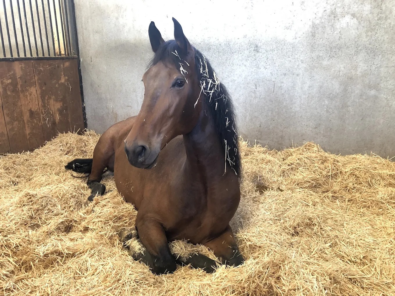 Galería de imágenes