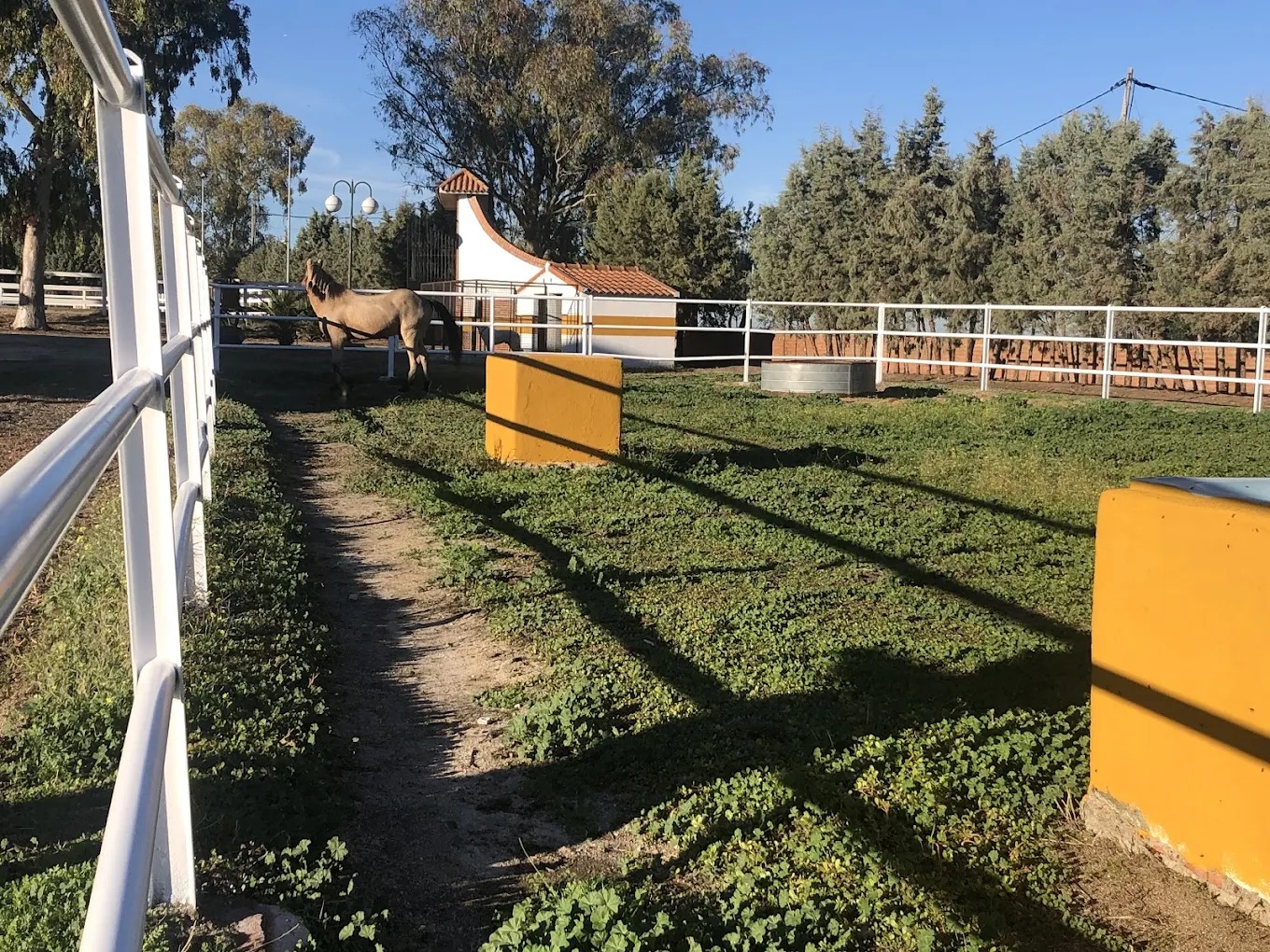 Hipica El Carrizal De Cubas 14