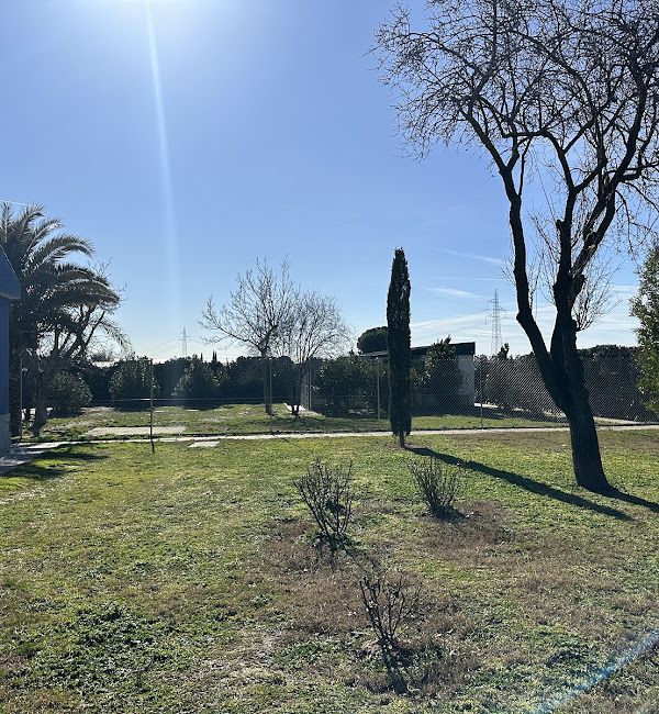 7 FLECHAS CENTRO CANINO 6