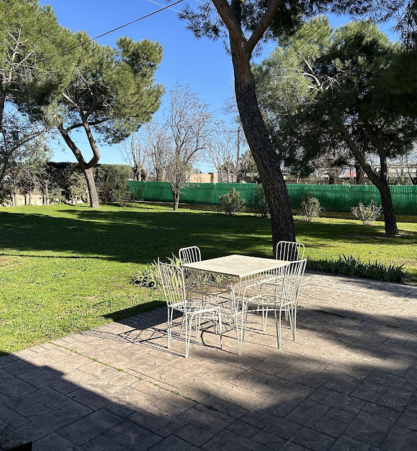 7 FLECHAS CENTRO CANINO 4