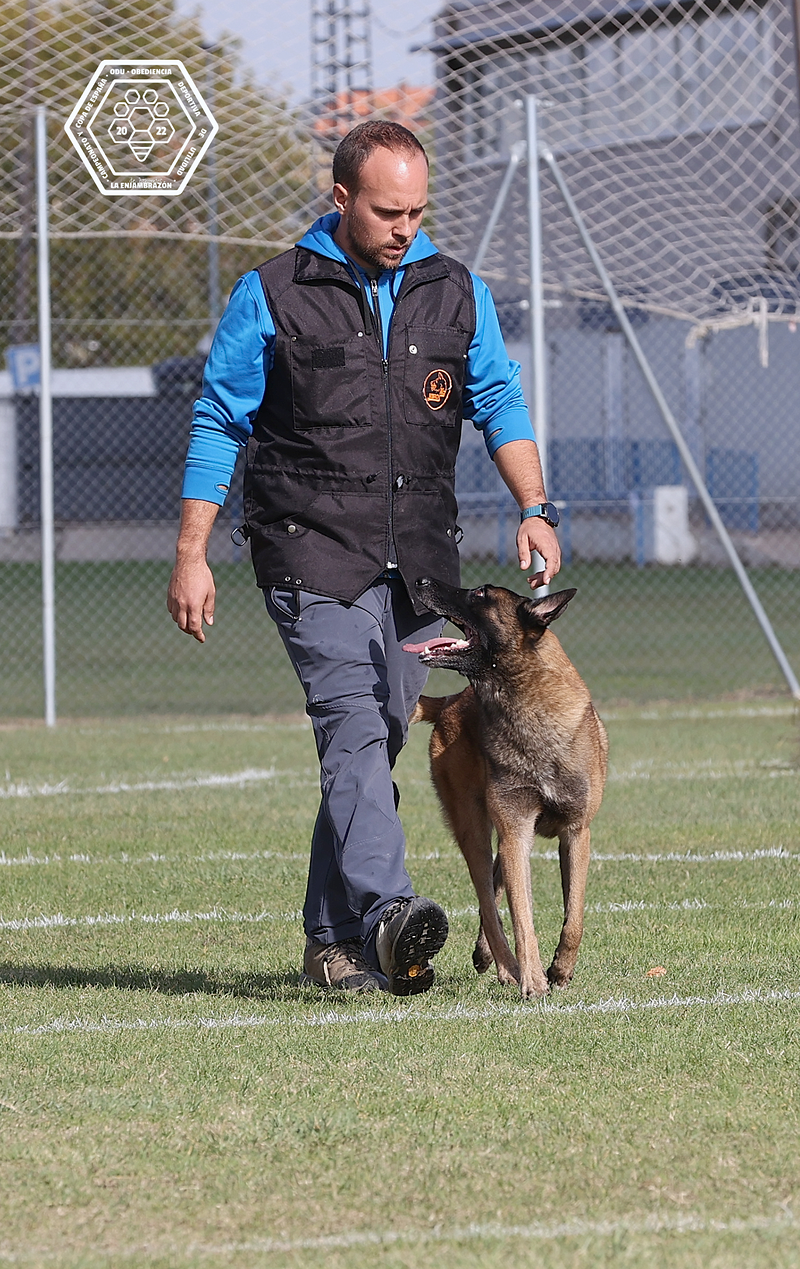 7 FLECHAS CENTRO CANINO 11