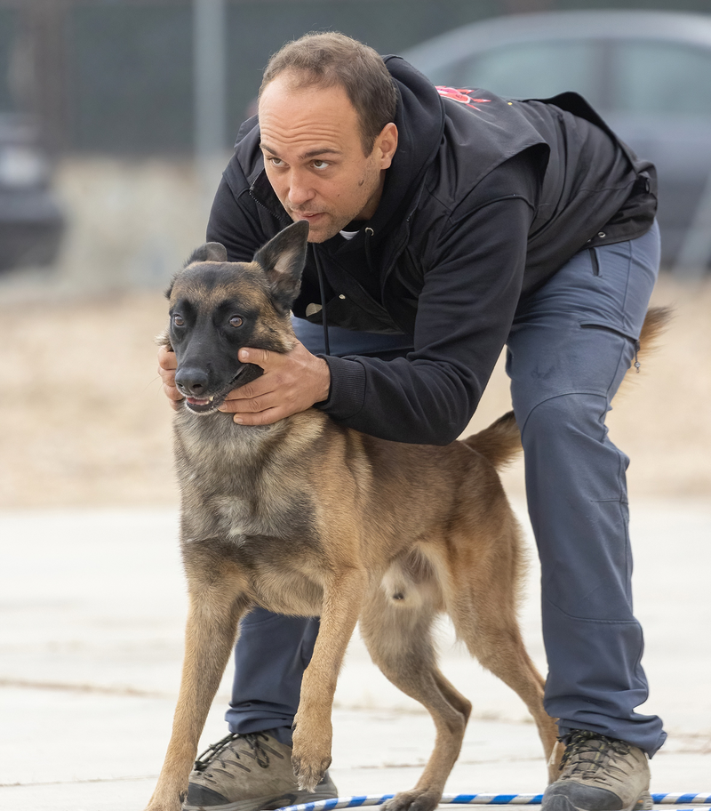 7 FLECHAS CENTRO CANINO 10