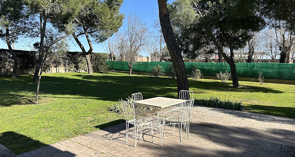 7 FLECHAS CENTRO CANINO 2