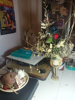 Galería de imágenes