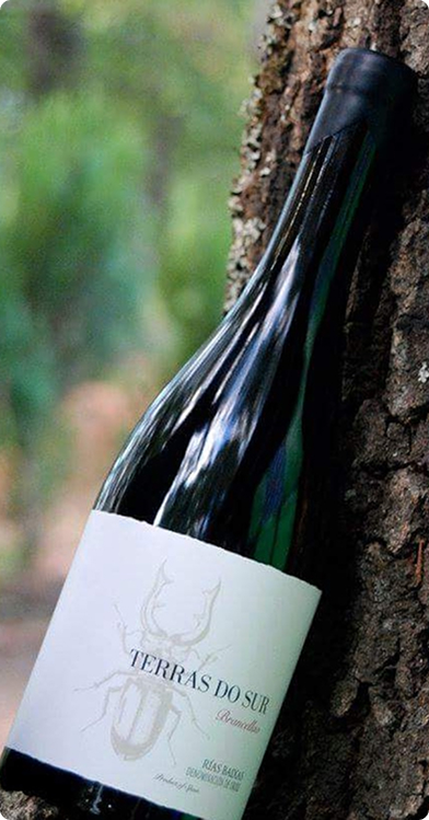 Adega Terras do Sur BODEGAS: PRODUCCION DE VINOS Y LICORES
