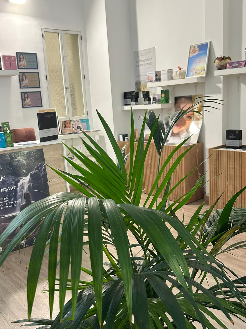 Quintaesencia Ayurveda 2