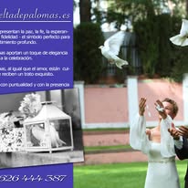 Galería de imágenes