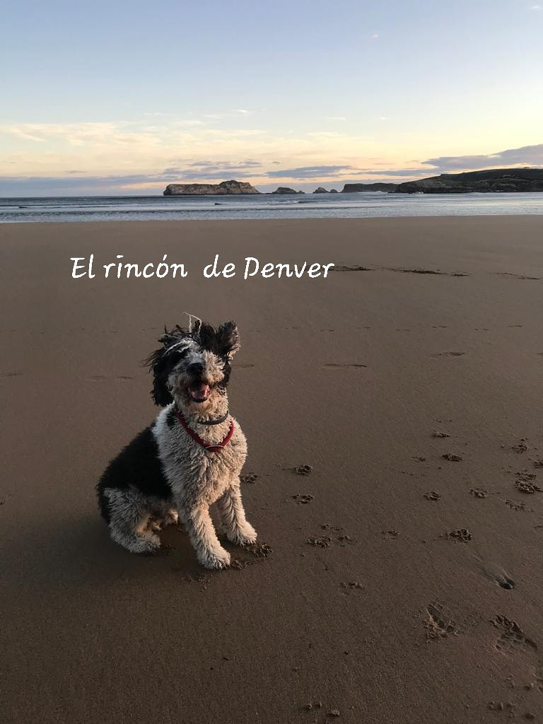 El Rinc&oacute;n De Denver 7