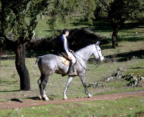 Centro De Formación y Doma Ecuestres Benito Rosado