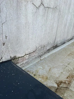 Imagen de Euskal And Co