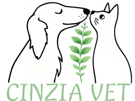 Cinzia Vet