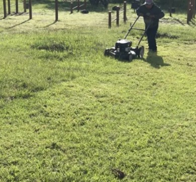 Elka Jardines Forestales 3