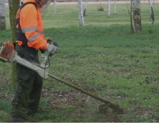 Elka Jardines Forestales 2