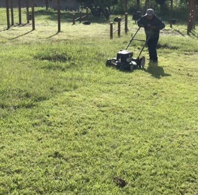 Elka Jardines Forestales Bilbao