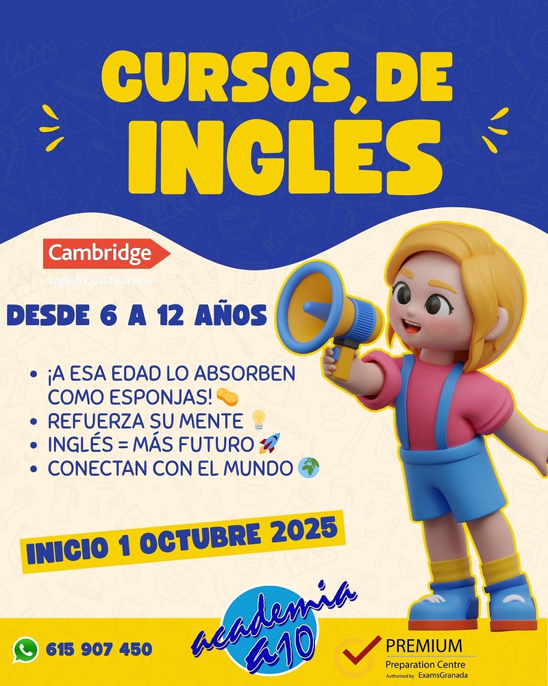 AULA 10 SERVICIOS EDUCATIVOS SL. Academia AULA10 ACADEMIAS DE PRIMARIA ESO Y BACHILLERATO