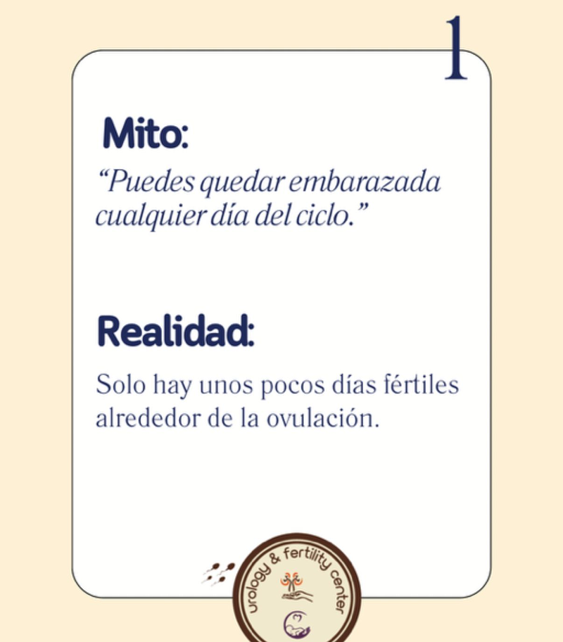 Urology&fertility 13