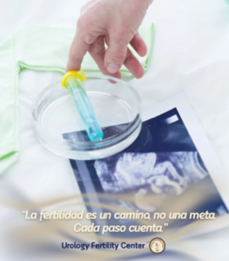 Urology&fertility 11