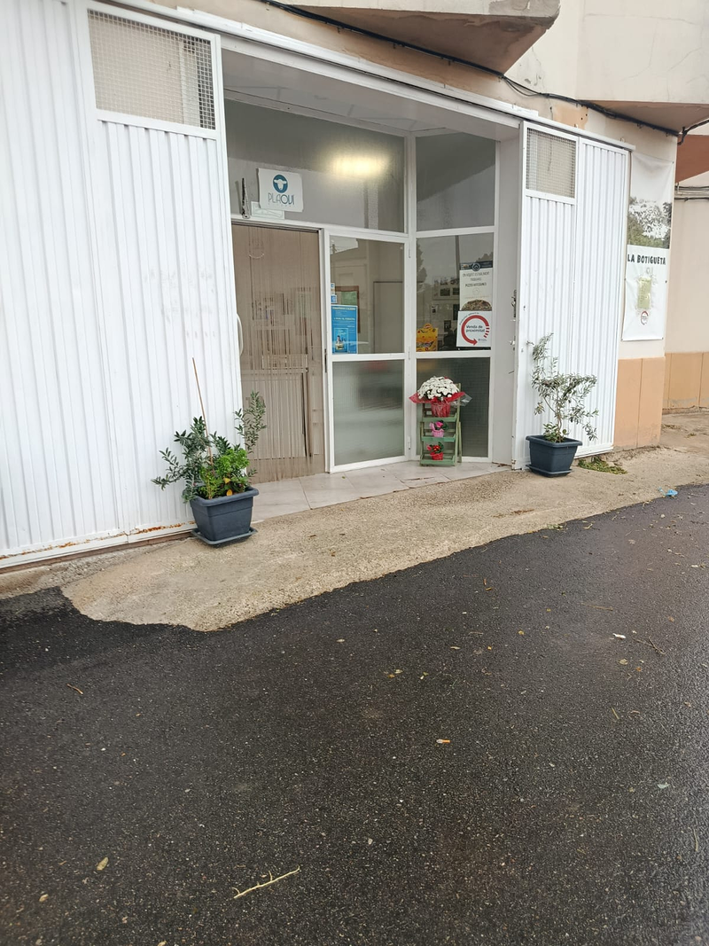 PlaOvi 15