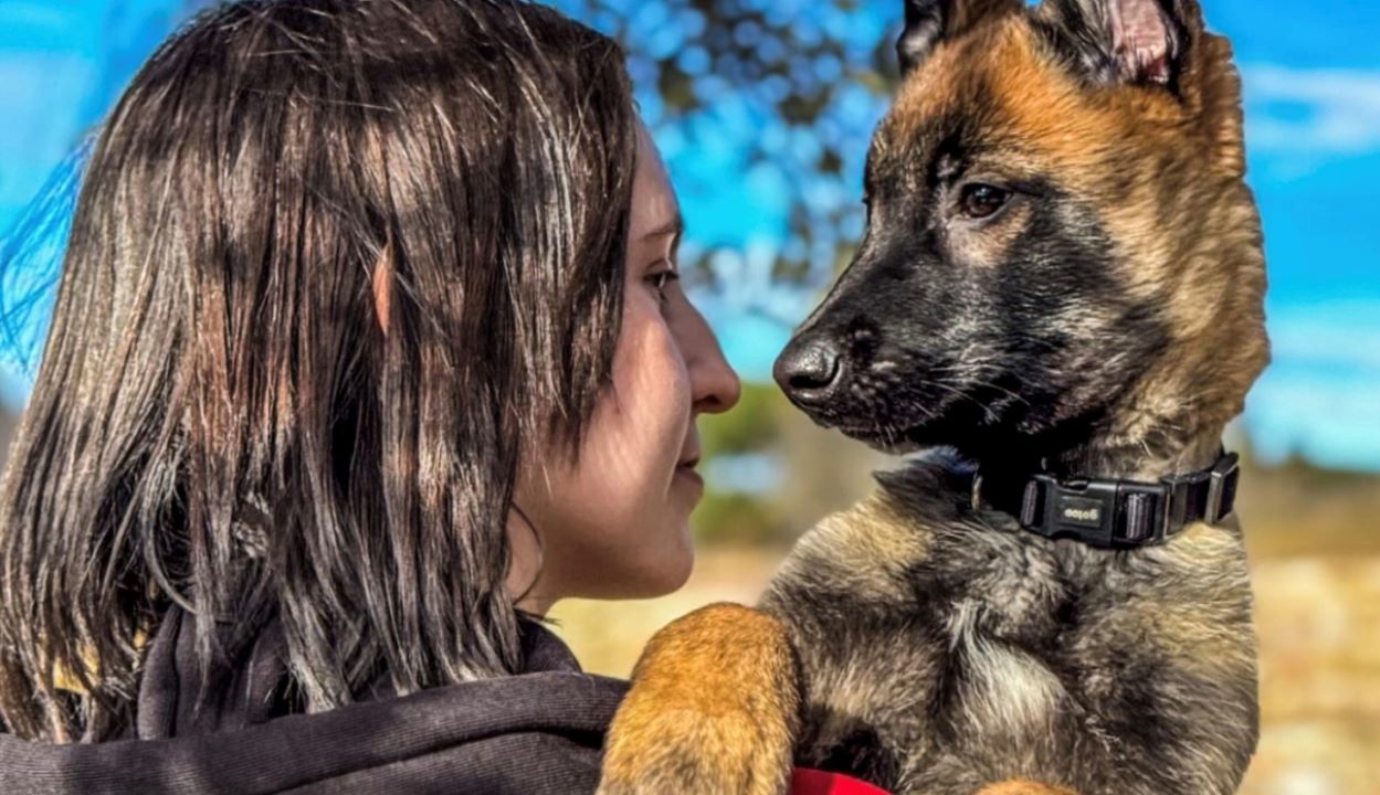 Drive Educaci&oacute; Canina 5