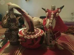 Galería de imágenes