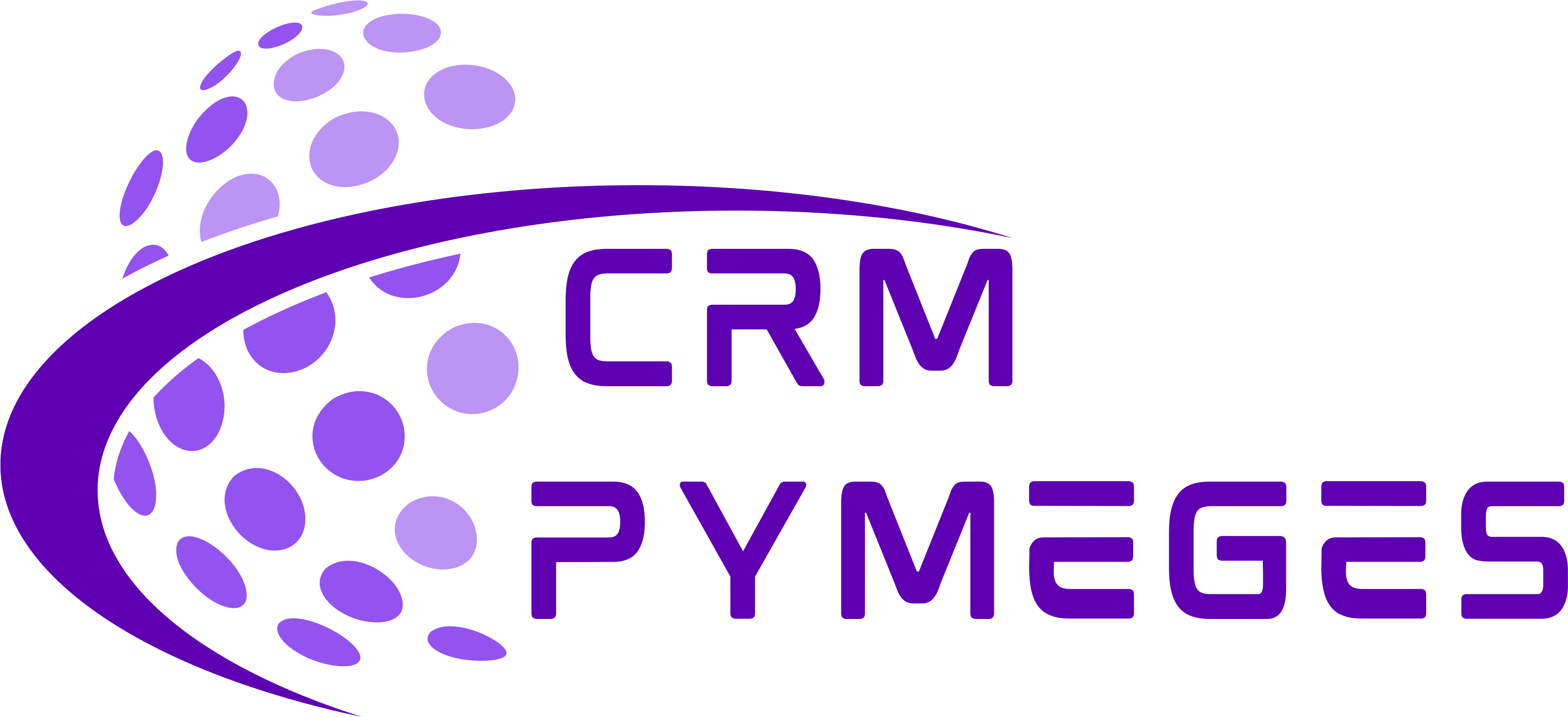Crm Pymeges