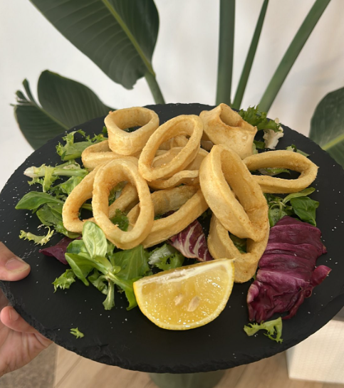 Galería de imágenes