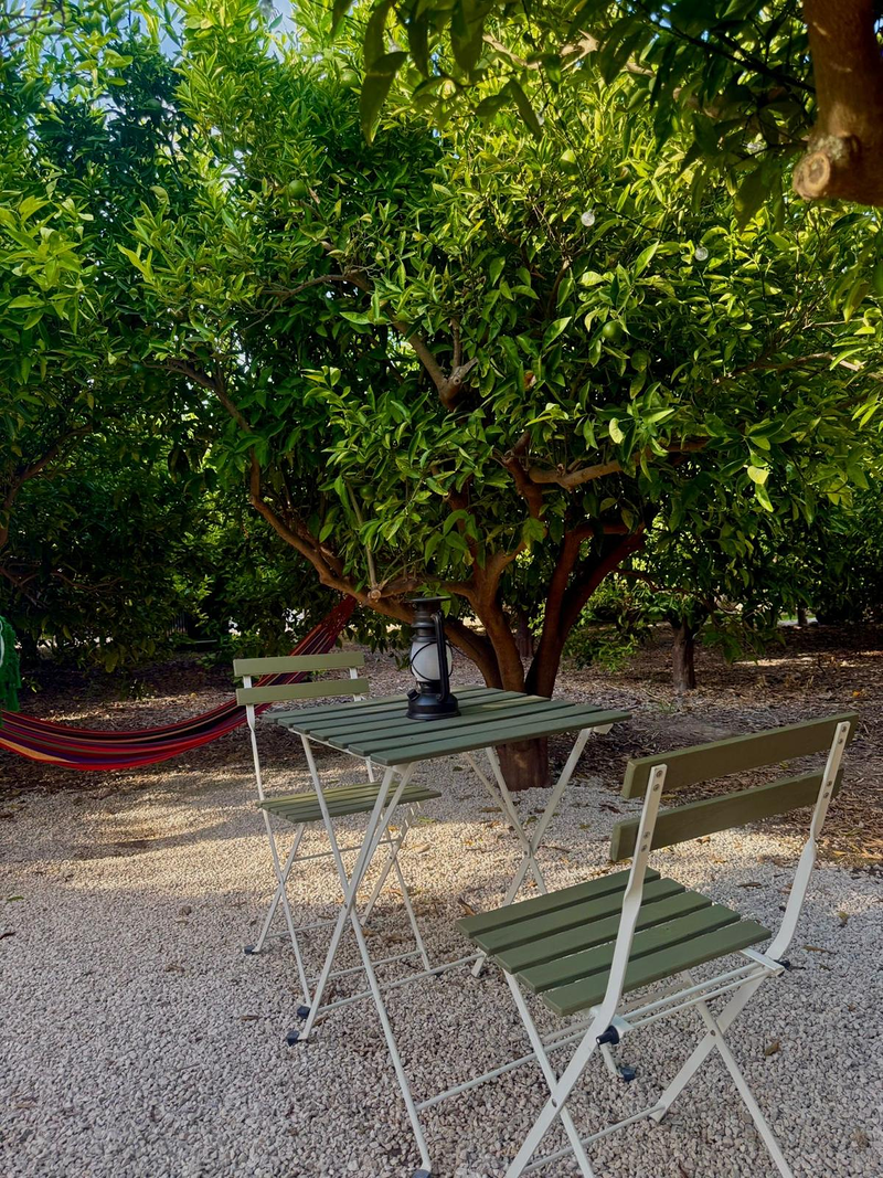 Glamping de Huerta La Arboleja 11