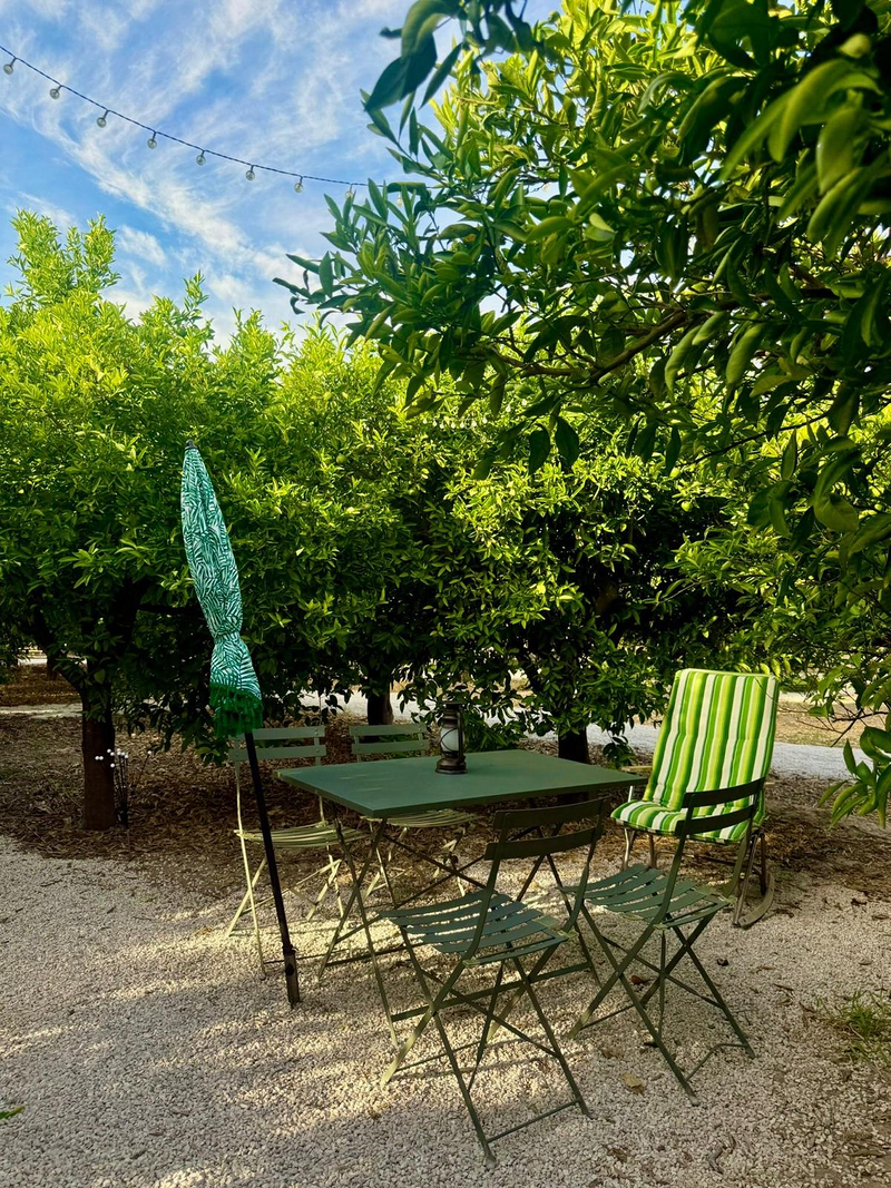 Glamping de Huerta La Arboleja 8