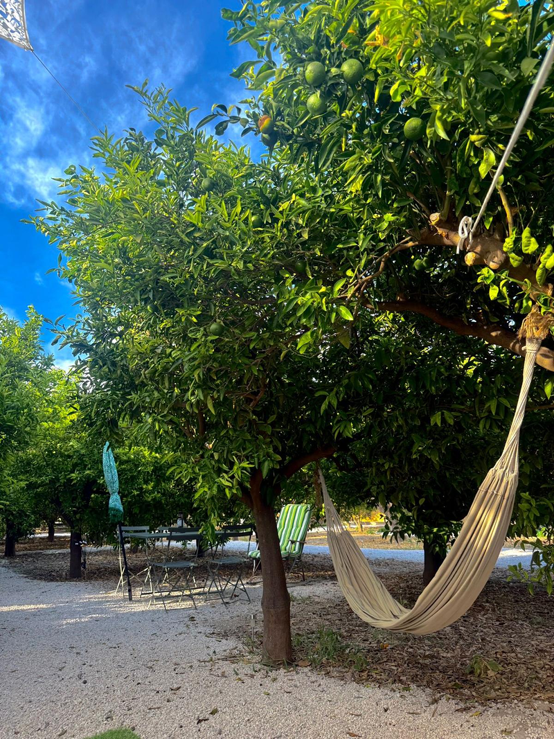 Glamping de Huerta La Arboleja 10