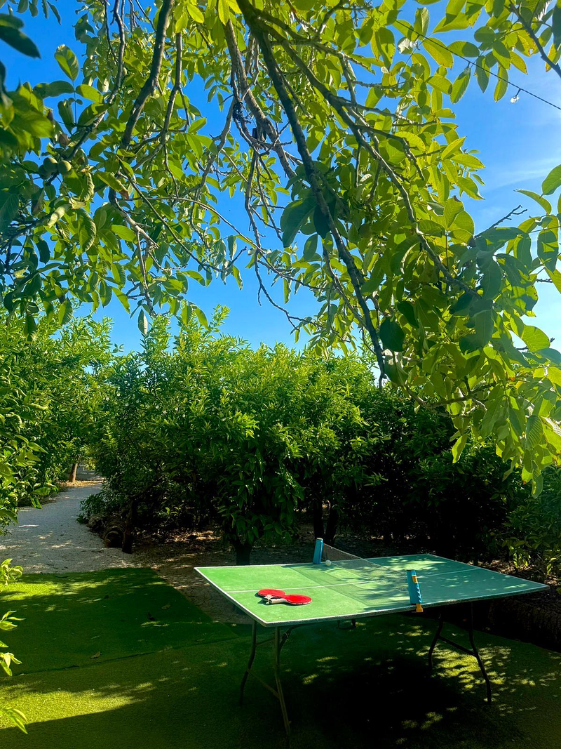 Glamping de Huerta La Arboleja 14