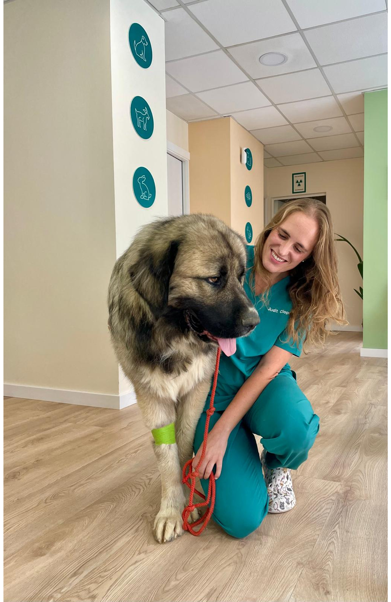 Cl&iacute;nica Veterinaria Judit 2