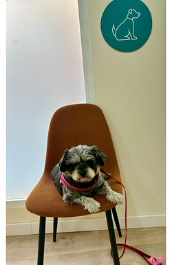 Galería de imágenes