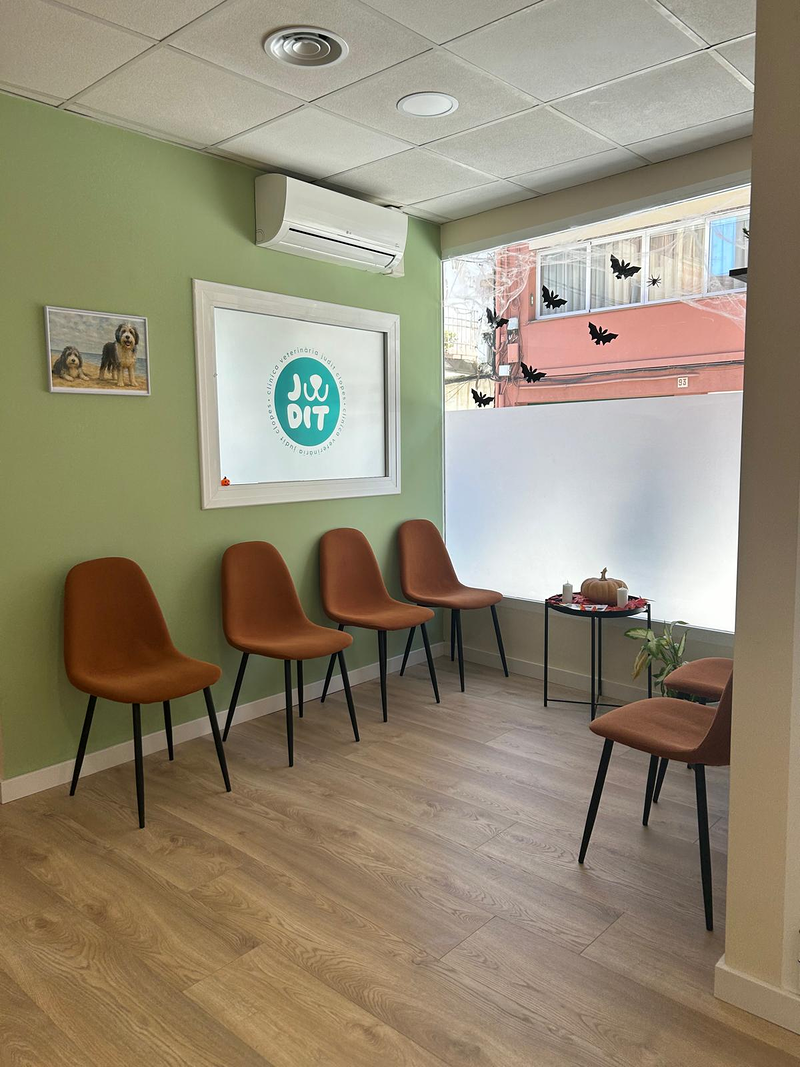 Cl&iacute;nica Veterinaria Judit 5