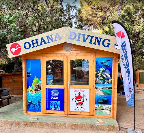 Ohana Diving