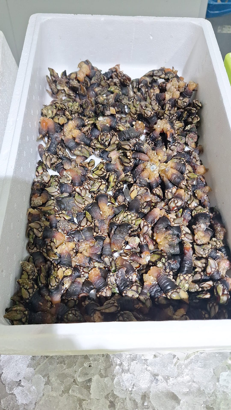 Pescaderia Ultramarinos Mary 7