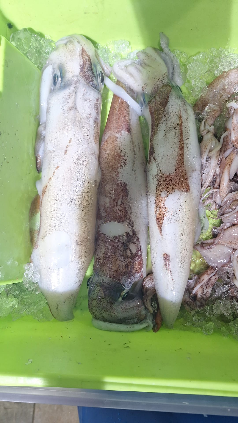 Pescaderia Ultramarinos Mary Cudillero