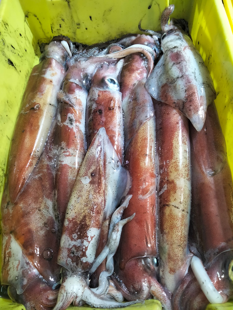 Pescaderia Ultramarinos Mary 5