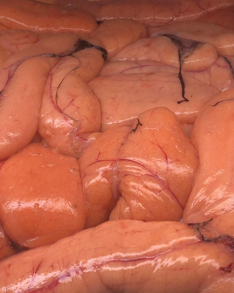 Bar El Rinconcito 10