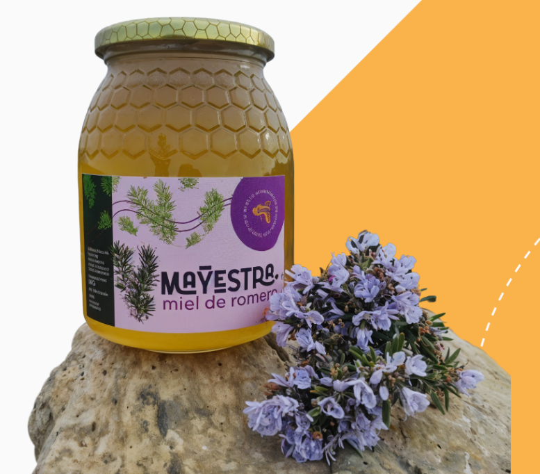 Galería de imágenes