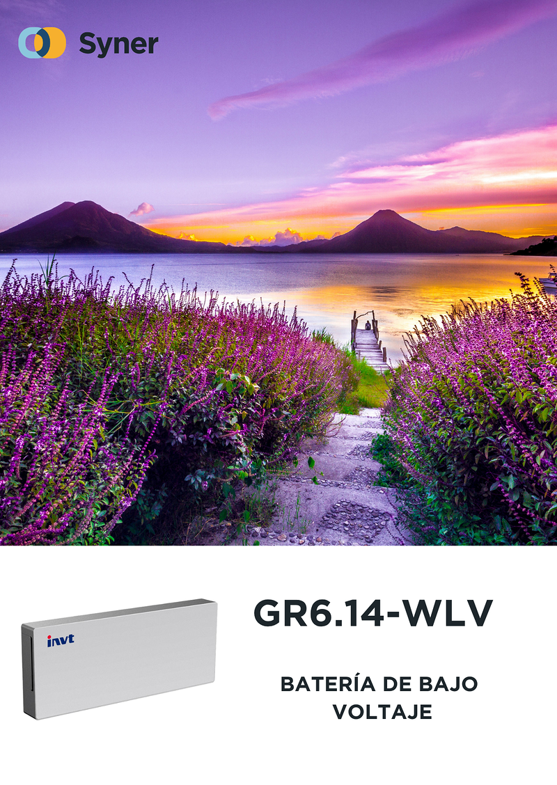 Syner Electronics Sl 10