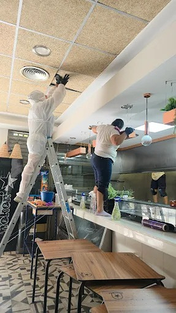 Imagen de Pintores Isoana