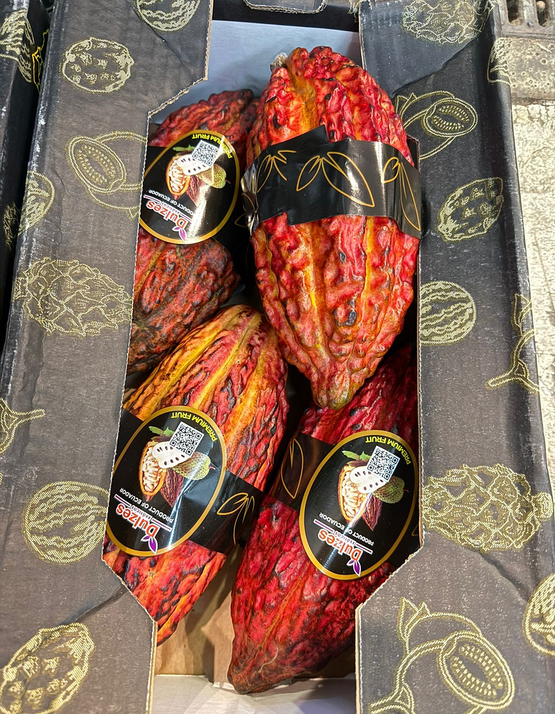 Kmarket Alimentaci&oacute;n 17