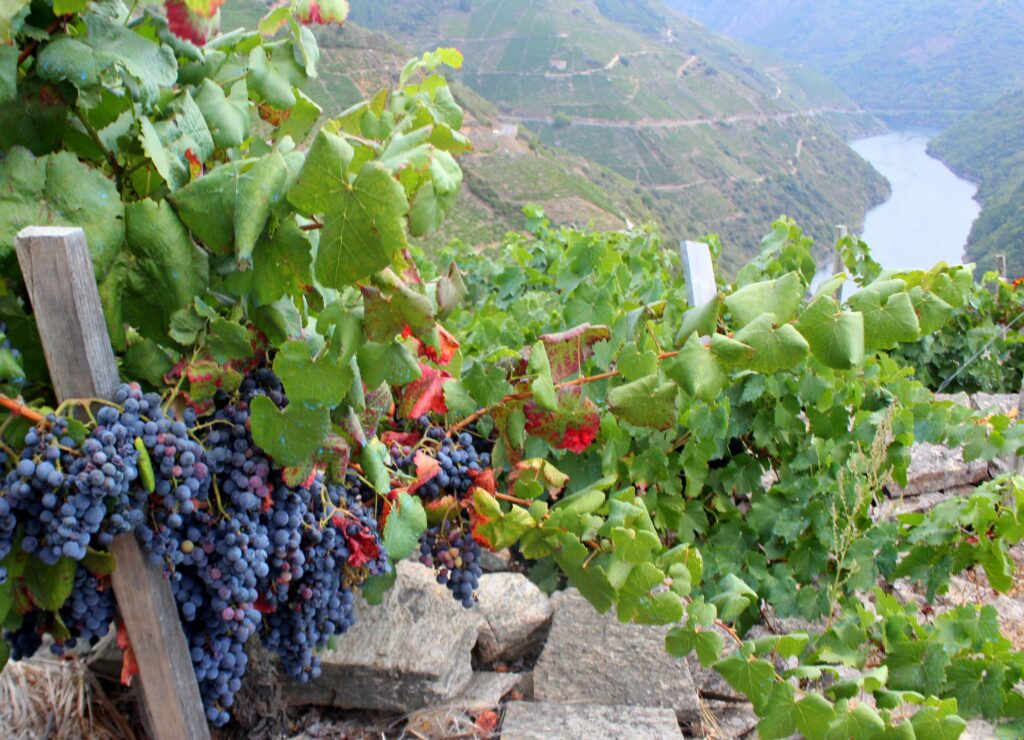 IL Santa Clara Hotel 20