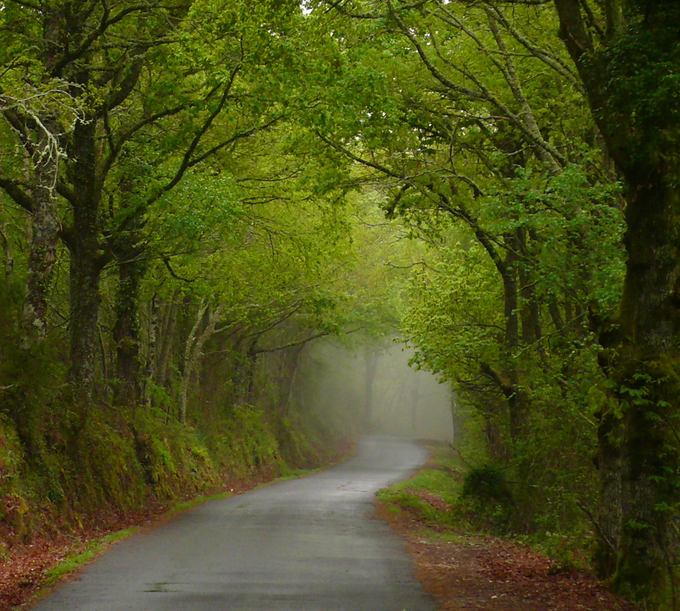 IL Santa Clara Hotel 21