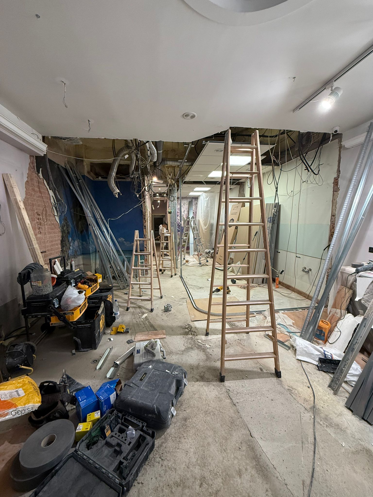 Galería de imágenes