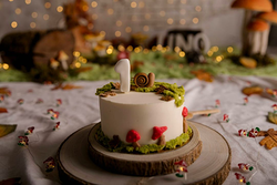 Galería de imágenes