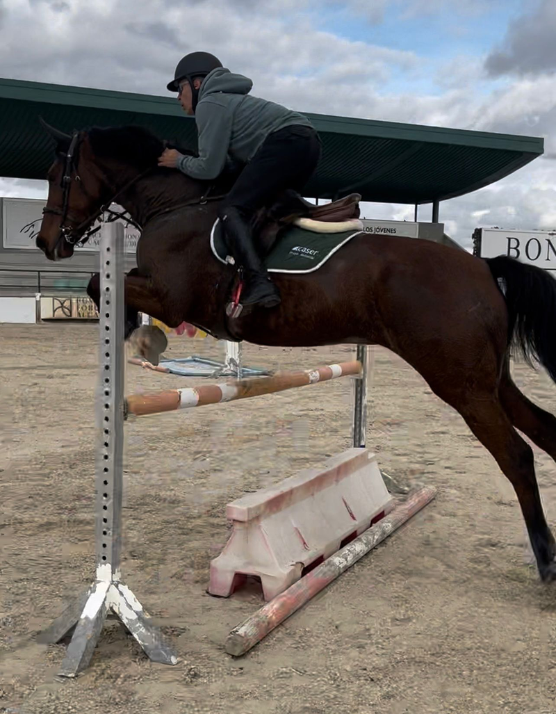 Ricardo Mart&iacute;nez Padrino &ndash; Agente Exclusivo Caser Seguros 2