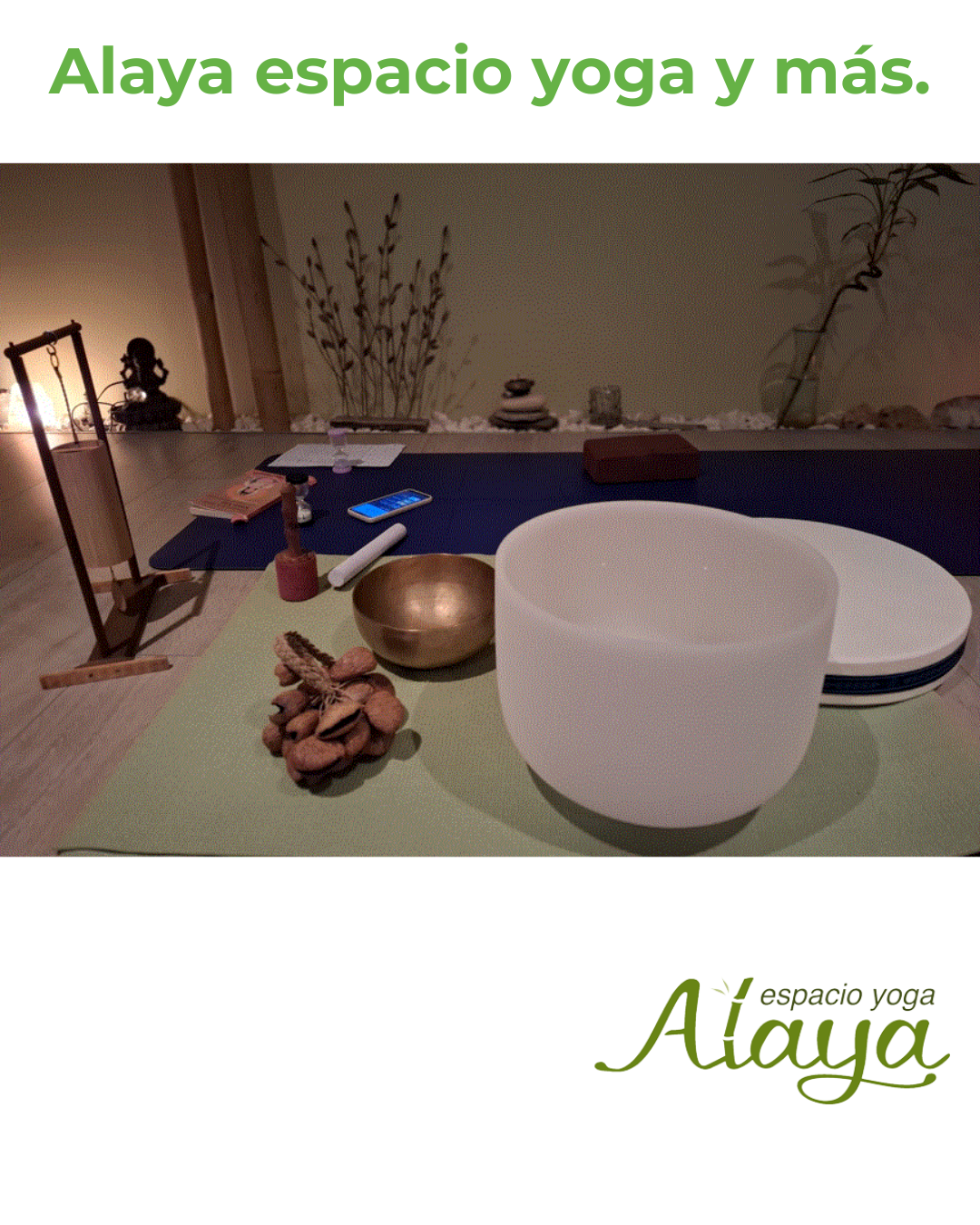 Alaya Espacio Yoga 9