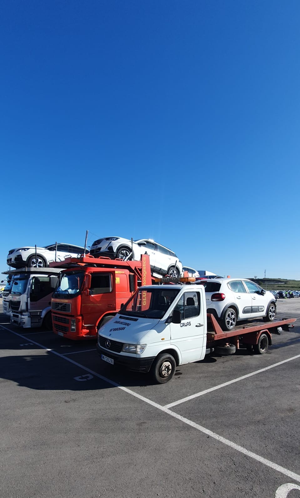 Galería de imágenes