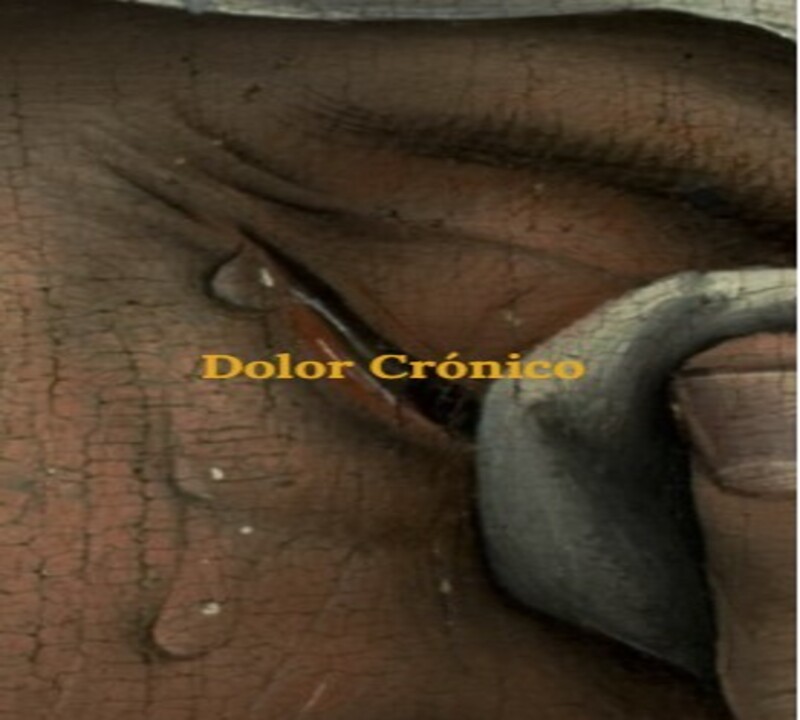 Olga Psic&oacute;loga 13